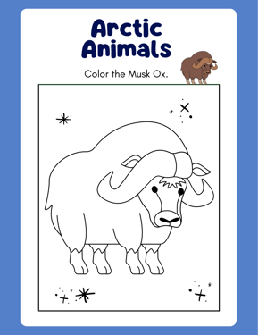 Arctic Animals Coloring Book